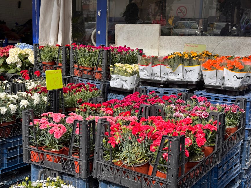 A display of potted flowering plants arranged in black plastic crates outside a floristry shop. The arrangement includes pink, red, orange, white, and yellow blooms, such as carnations and marigolds,
